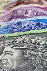 Polish banknote