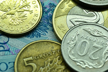 Polish coins