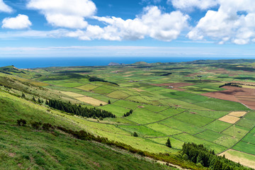 Patchwork of green farm pastures 