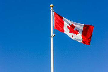 Flag of Canada Canadian flag on a blue background	