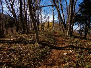 本社ヵ丸の山中