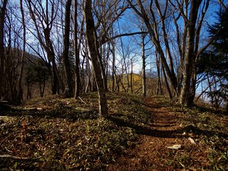 本社ヵ丸の山中