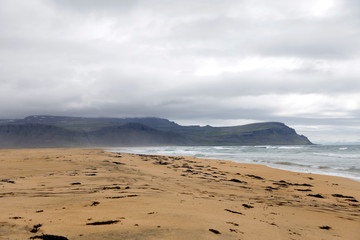 Orange sand beach in Iceland. Rauðisandur (Red Beach) is a 10 kilometer stretch of a beach on the south coast of the West Fjords in Iceland. 
