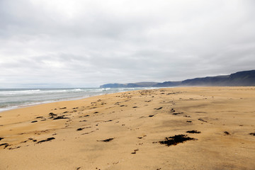 Orange sand beach in Iceland. Rauðisandur (Red Beach) is a 10 kilometer stretch of a beach on the south coast of the West Fjords in Iceland. 