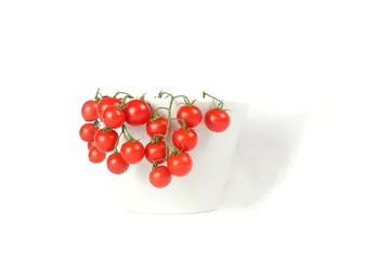 vine tomatoes in a cup with white background