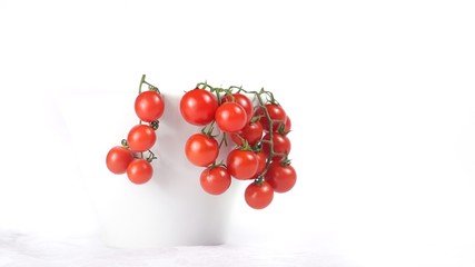 vine tomatoes in a cup with white background