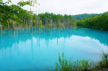 the blue pond in biei