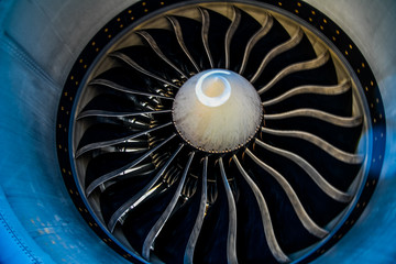 Jet engine fan blades