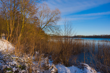 Naklejka na ściany i meble Winter landscape trees on the shore snow covers the lakeside in the forest nature cold fluff water calamus reed pond