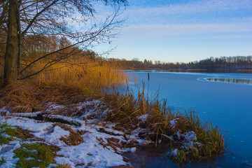 Winter landscape snow covers the lakeside in the forest nature cold fluff water calamus reed pond