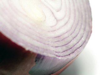 Close up shot of a red onion