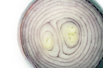 Close up shot of a red onion