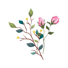cute flowers with branches and leafs isolated icon vector illustration design