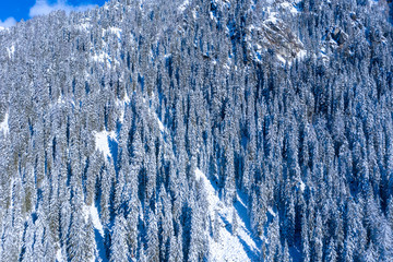Magical Switzerland winter lake in the middle of the Alps surrounded by the magical forest covered...