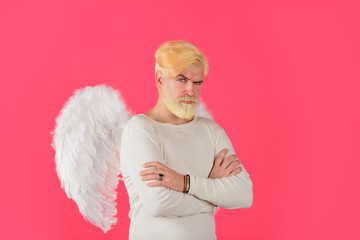 Happy Valentine Day. Bearded man with angel wings. Male angel with feathered wings. Blonde cupid with white angel wings. Cupid in valentine day. Male angel. Cupid. Amour. Valentine cupid. February 14.