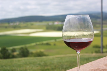 Wine in the Hills