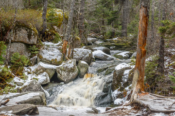 Naklejka na ściany i meble Winter Brook Falls in Deep Forest. Rocks and Moss