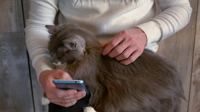 A man stroking a cat and using a smartphone