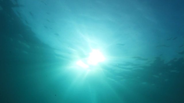 Underwater sunlight in ocean video 
