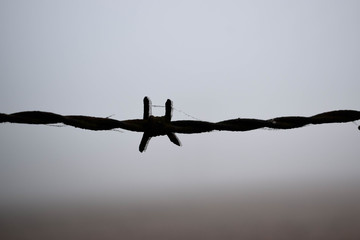 Barbed Wire Silhouette