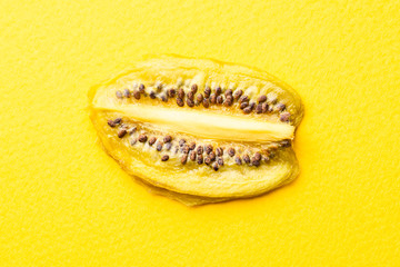 Dried kiwi slice on a yellow background and place for an inscription. Copyspace.