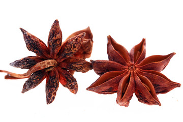 Anise isolation in the white background