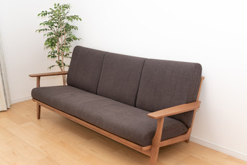 ソファと観葉植物