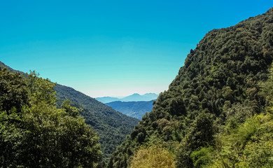 Vivid Scenery of Forest Freshness Along the Mountain Valley