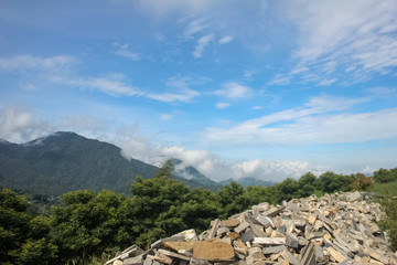 Vivid Scenery of Forest Freshness Along the Mountain Valley