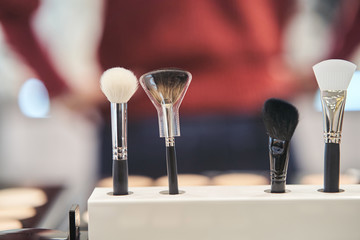Professional brushes for applying makeup from natural pile. Products for makeup artists