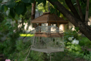 birdhouse hanging on a tree