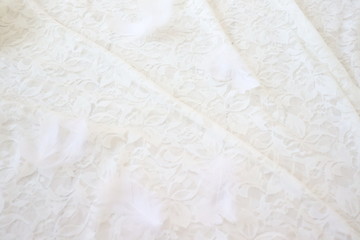 white paper texture background