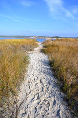 Sandy foot path through the beach grass. Heading toward the waters edge past the sand dunes.