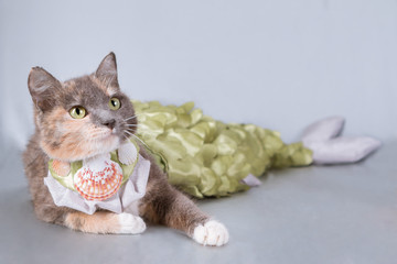 Three-colored cat mermaid with green eyes and tail in green scales lies on a gray background. Her...