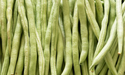 green bean