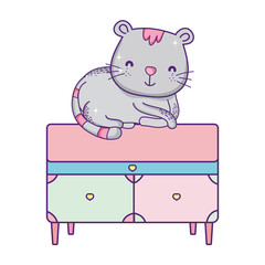 cute cat sitting on drawers furniture