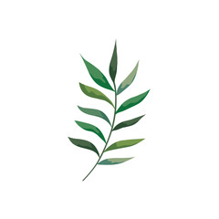 branch with leafs nature isolated icon