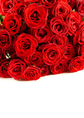 Fresh red roses isolated on white background. Valentine's day composition with red roses flowers. Greeting card template. Copy Space. Concept of Happy Valentine's day. Mother's day card. 