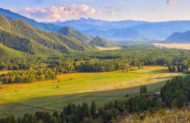 Fototapeta na wymiar Evening light in a picturesque valley, Altai mountains. Travel and vacation in the mountains.