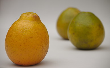 Orange, excellent food