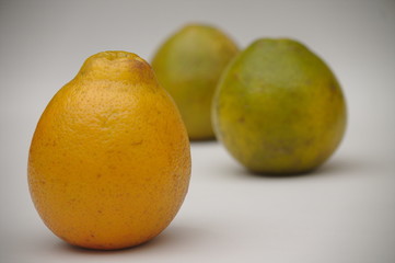 Orange, excellent food