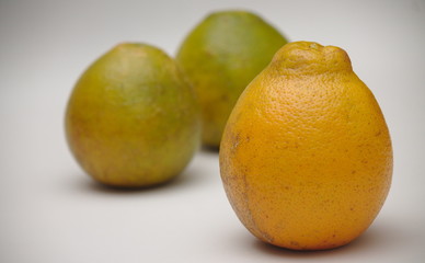 Orange, excellent food