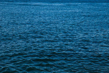 Obraz premium Turquoise sea wave water texture