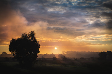 Fototapeta na wymiar sunset through the smoke from a bush fire western Australia