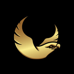 gold head of hawk falcon eagle vector Logo design icon illustration template