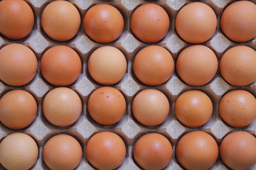 Chicken eggs in carton egg box .Farm products, natural eggs.