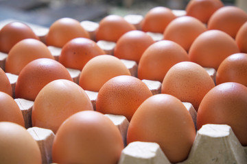 Chicken eggs in carton egg box .Farm products, natural eggs.