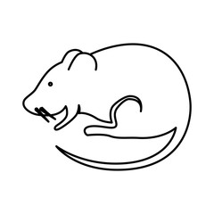 cute rodent rat isolated icon