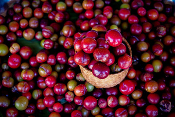 cherries on a black background