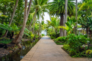 A path at the tropical garden on a beautiful day at Anse Vata Bay in Noumea, French Polynesia, South Pacific Ocean.